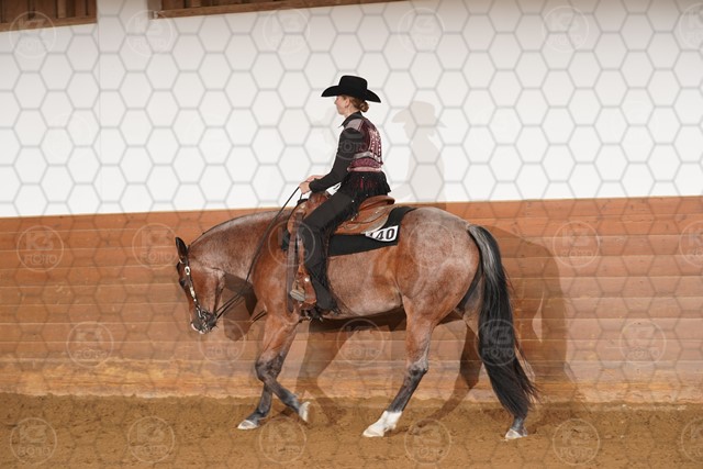 sA9K00710.JPG